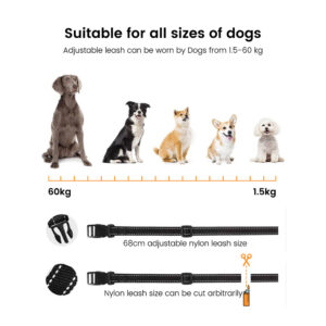 Dog Bark Collar with 5 Adjustable Sensitivity Automatic Anti Barking Training Collar